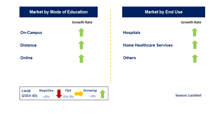 Nursing Education by Segment