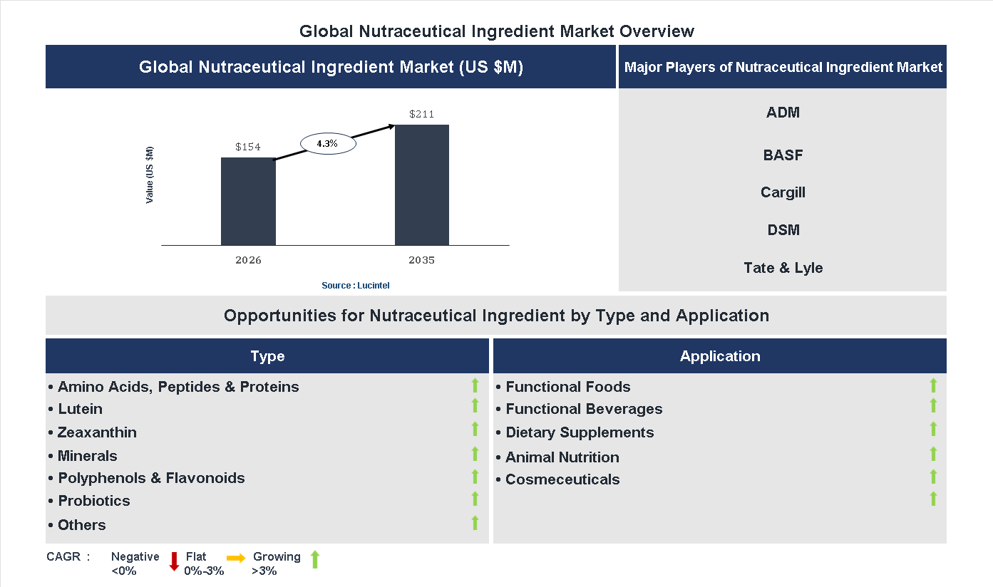 Nutraceutical Ingredient Market Trends and Forecast