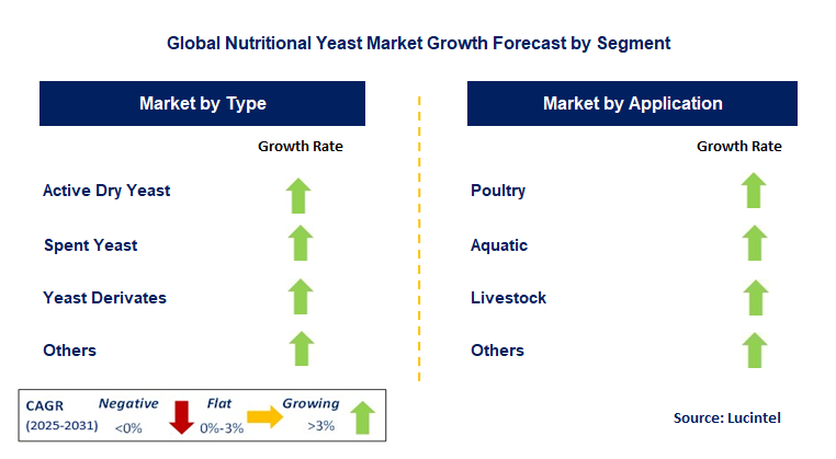 Nutritional Yeast Market by Segment