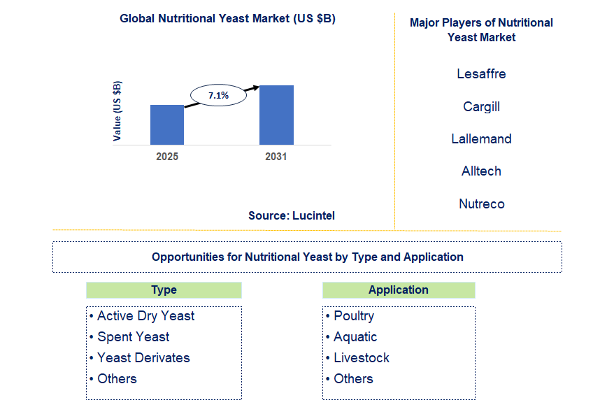 Nutritional Yeast Market Trends and Forecast