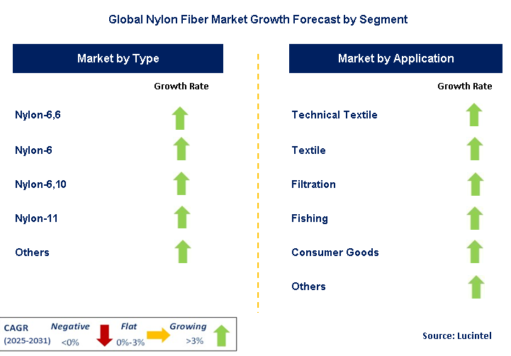 Nylon Fiber Market by Segment