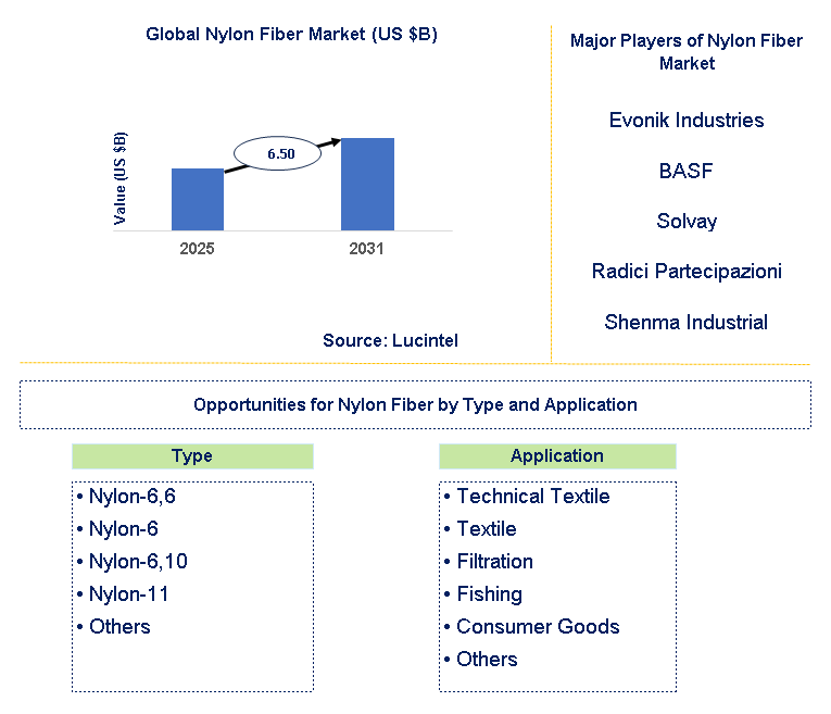 Nylon Fiber Market Trends and Forecast