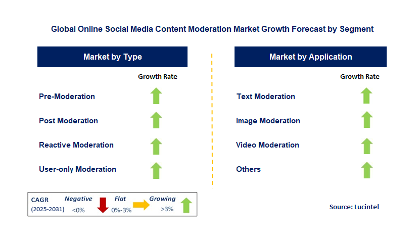 Online Social Media Content Moderation Market by Segment