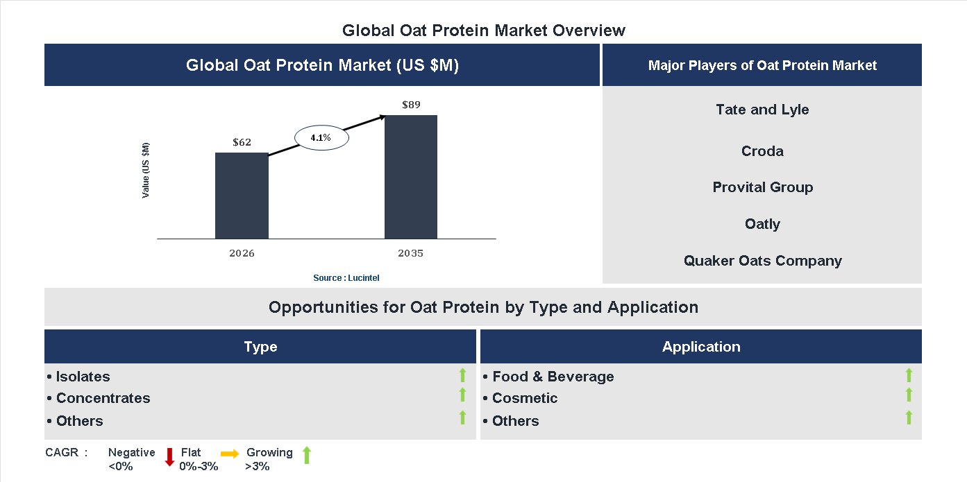 Oat Protein Market Trends and Forecast