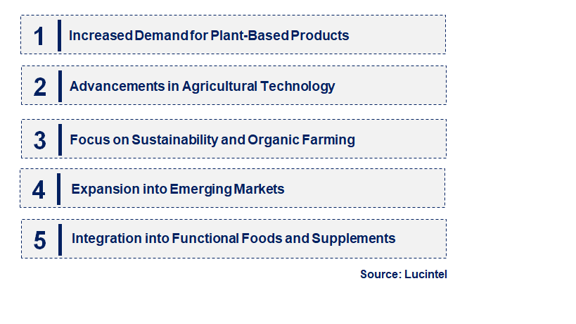 Emerging Trends in the Oat Seed Market