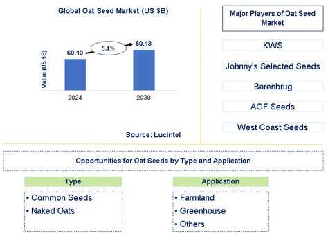 Oat Seed Market Trends and Forecast