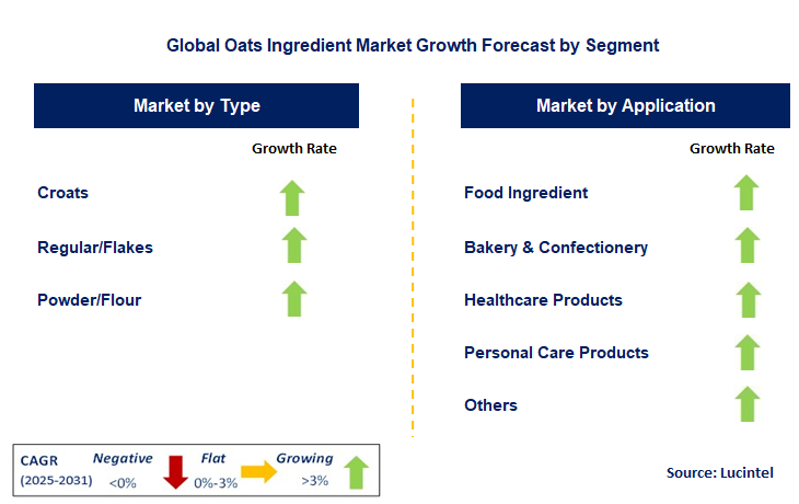 Oats Ingredient Market by Segment