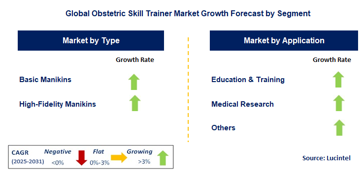 Obstetric Skill Trainer Market by Segment