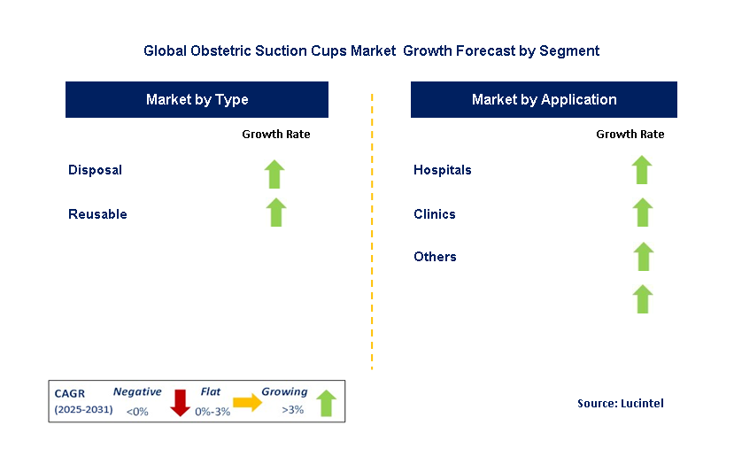 Obstetric Suction Cups Market by Segment