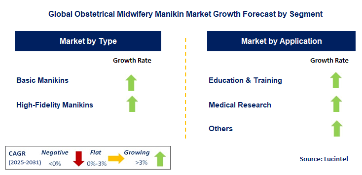 Obstetrical Midwifery Manikin Market by Segment