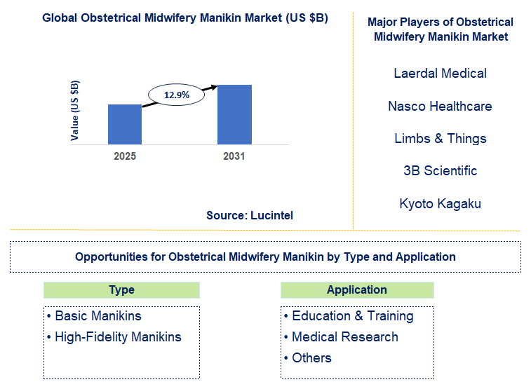 Obstetrical Midwifery Manikin Market Trends and Forecast