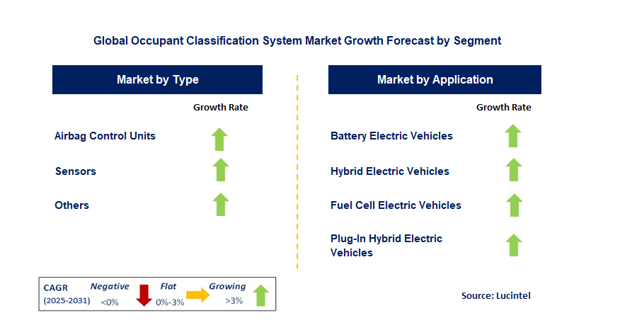Occupant Classification System Market by Segment