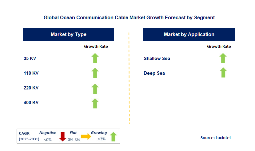 Ocean Communication Cable Market by Segment