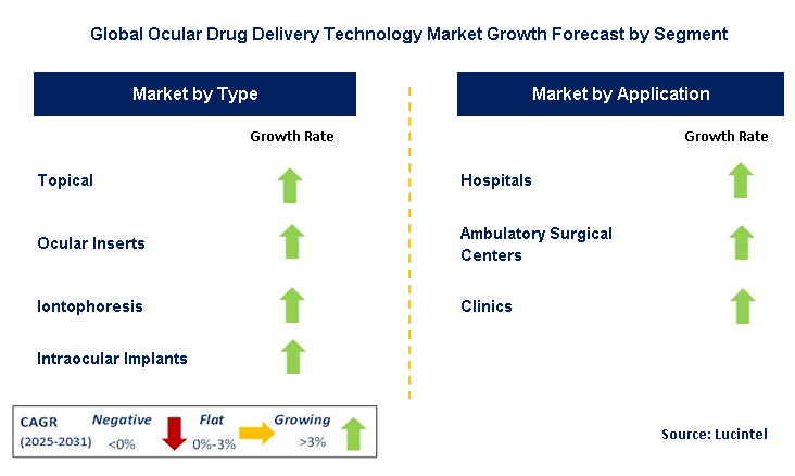 Ocular Drug Delivery Technology Market by Segment