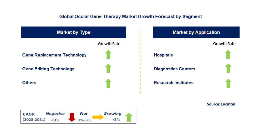 Ocular Gene Therapy Market by Segment
