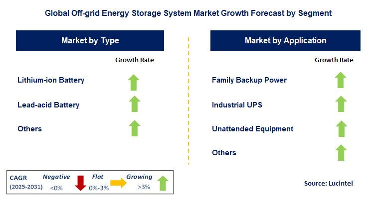 Off-grid Energy Storage System Market by Segment