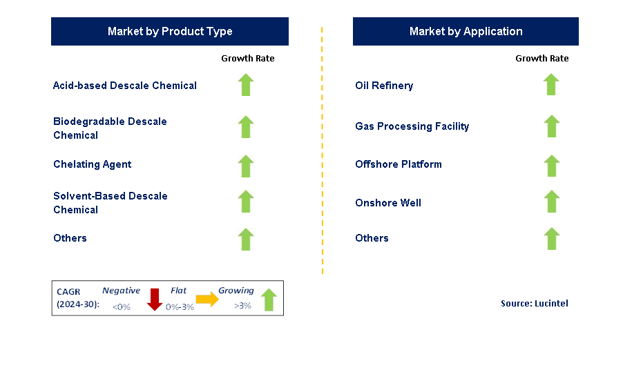 Oil & Gas Descaler by Segment