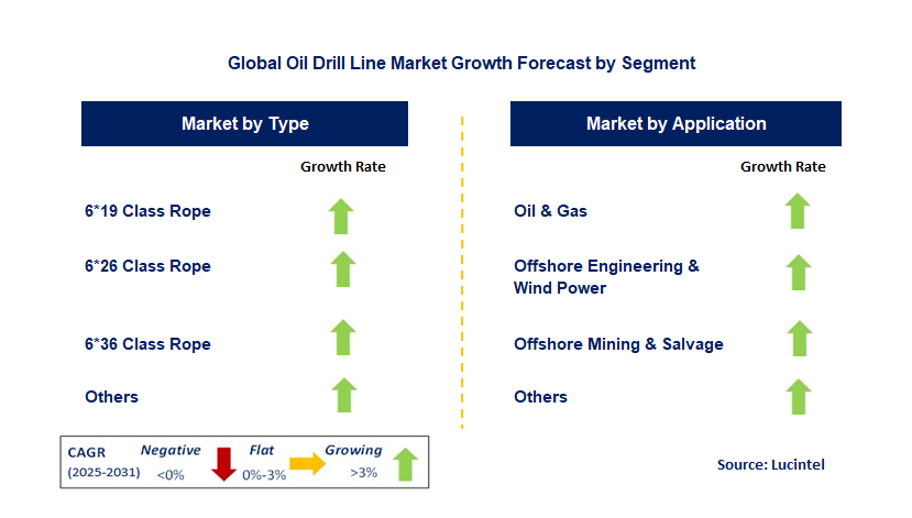 Oil Drill Line Market by Segment Oil Drill Line Market by Segment