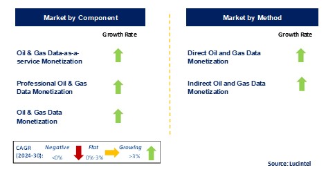 Oil and Gas Data Monetization by Segment