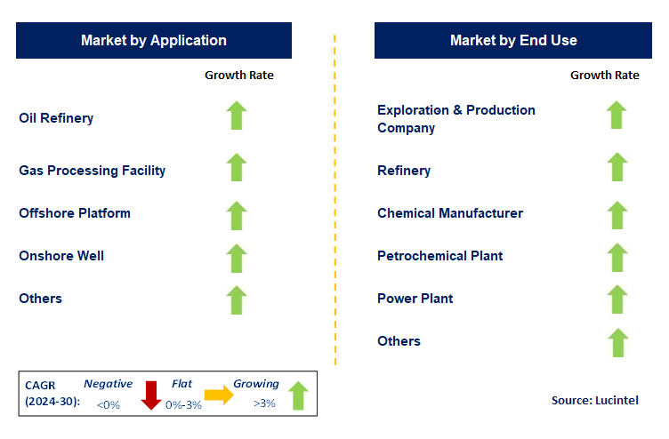 Oil & Gas Descaler by Segment