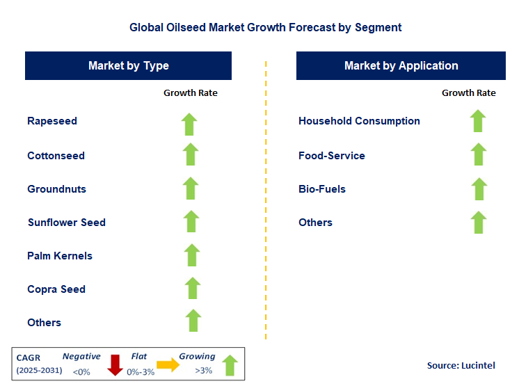 Oilseed Market by Segment