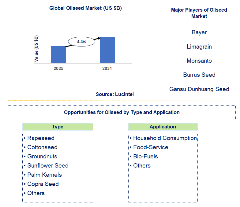 Oilseed Market Trends and Forecast