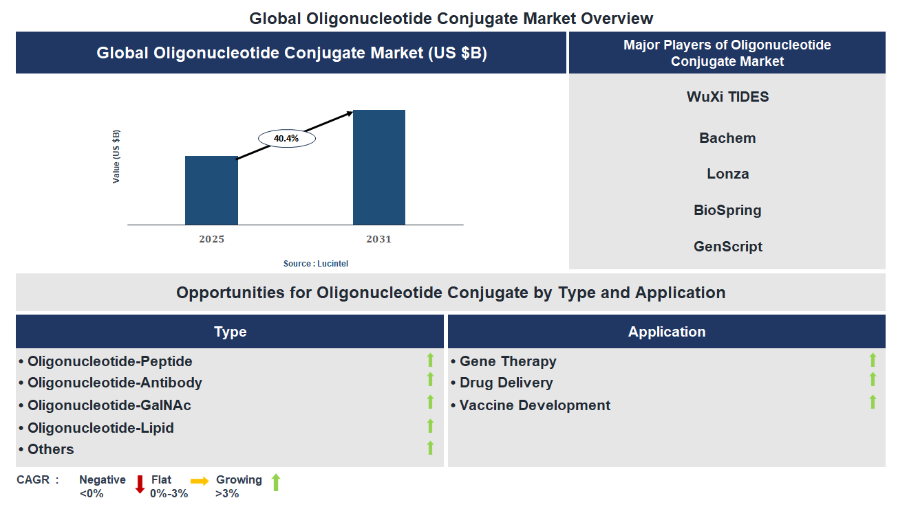 Oligonucleotide Conjugate Market Trends and Forecast