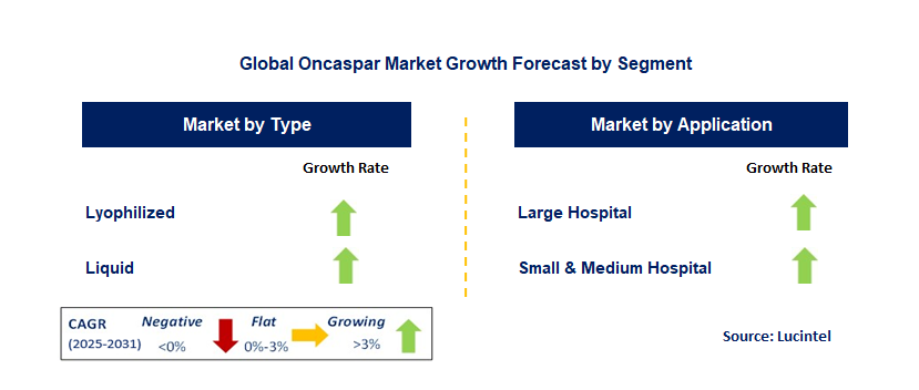 Oncaspar Market by Segment