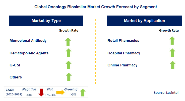 Oncology Biosimilar Market by Segment