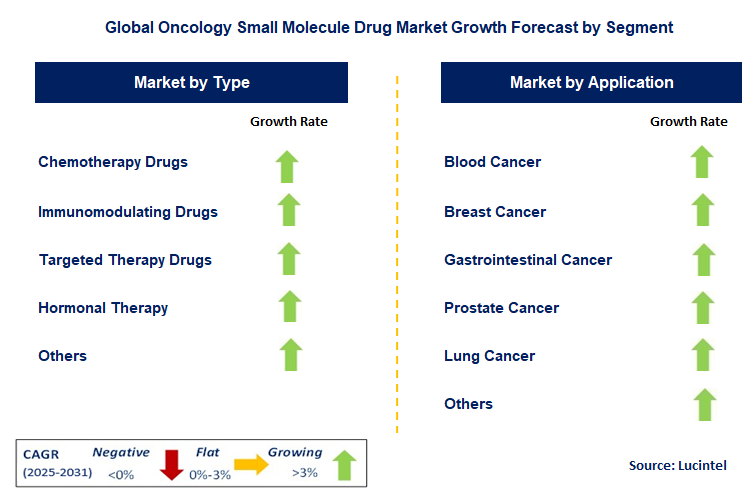 Oncology Small Molecule Drug Market by Segment