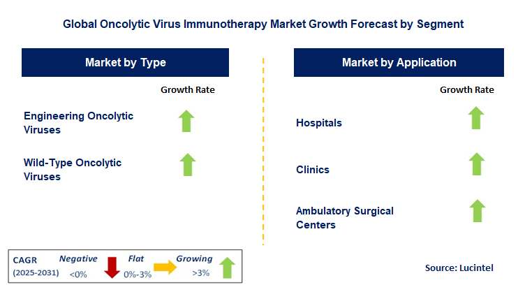 Oncolytic Virus Immunotherapy Market by Segment