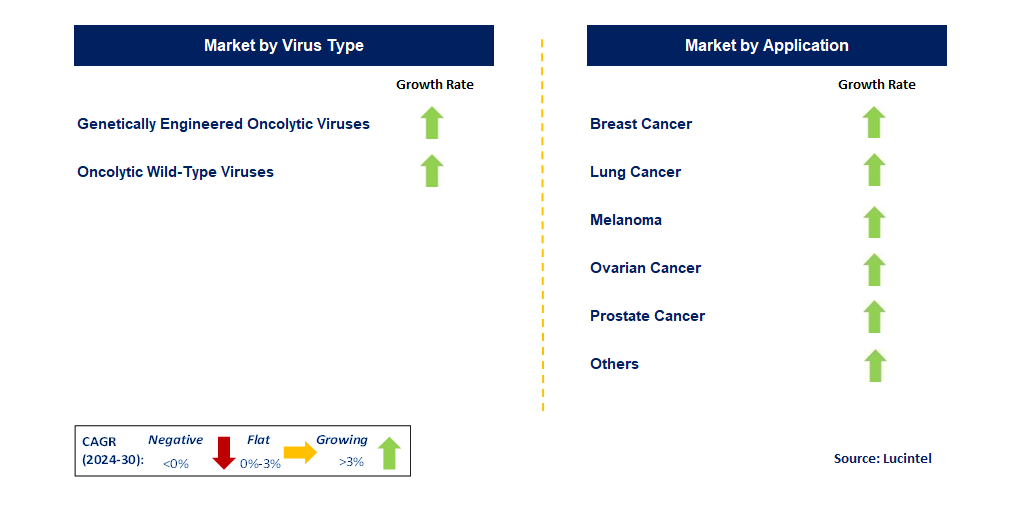 Oncolytic Virus Therapy by Segment