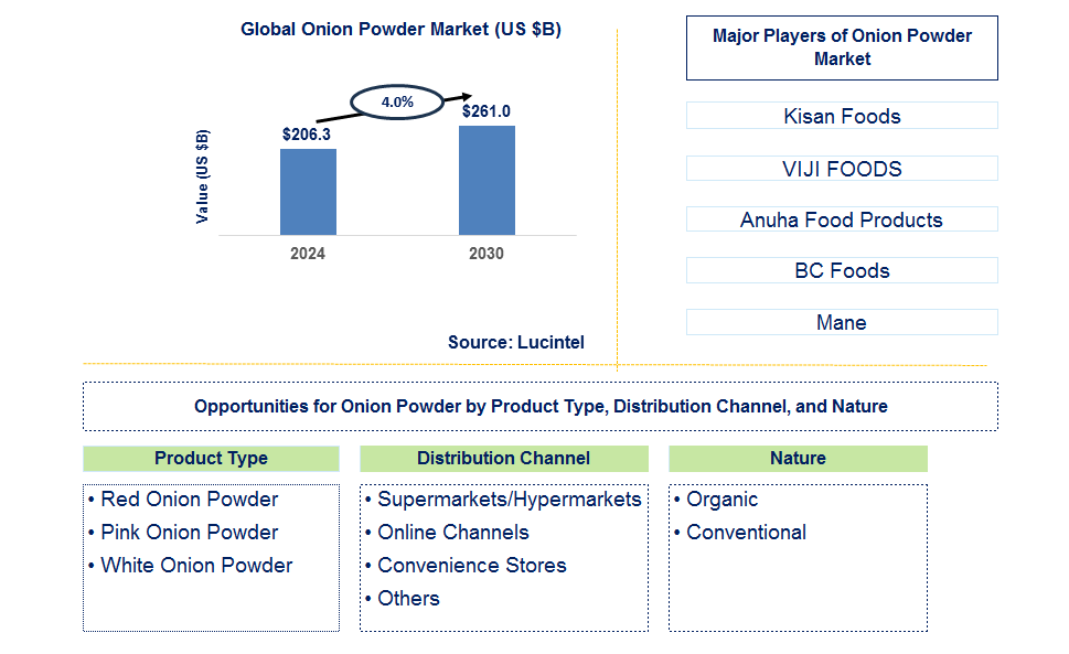 Onion Powder Trends and Forecast