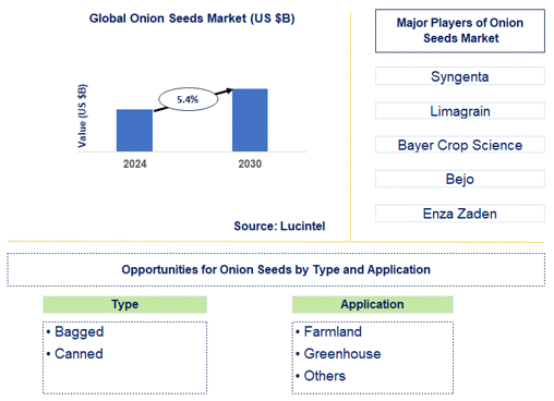 Onion Seeds Market Trends and Forecast