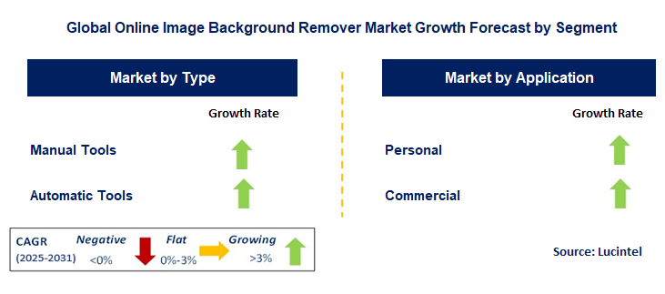 Online Image Background Remover Market by Segment