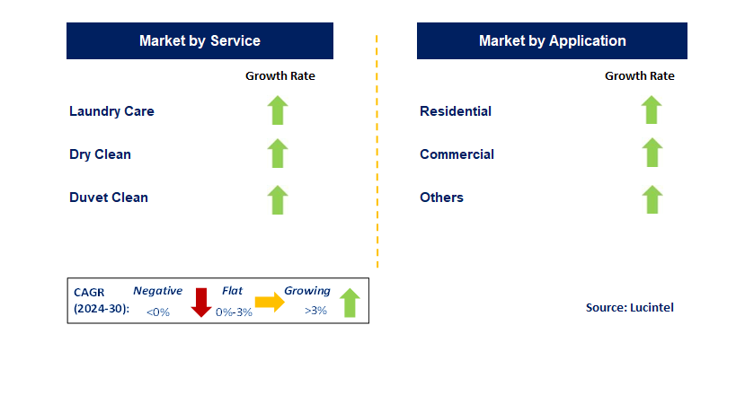 Online On-Demand Laundry Service by Segment