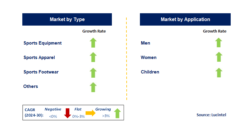 Online Sports Retailing by Segment