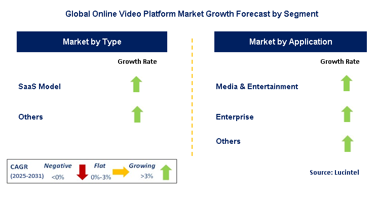 Online Video Platform Market by Segment