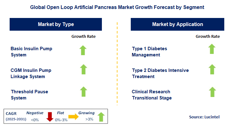 Open Loop Artificial Pancreas Market by Segment
