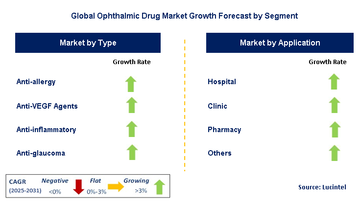 Ophthalmic Drug Market by Segment