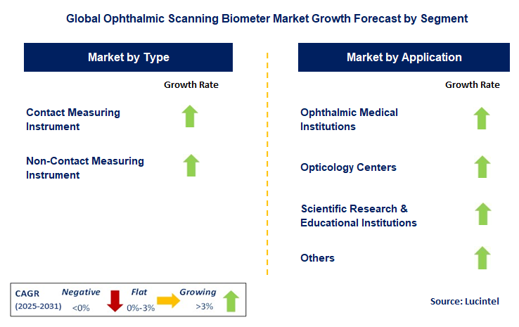 Ophthalmic Scanning Biometer Market by Segment