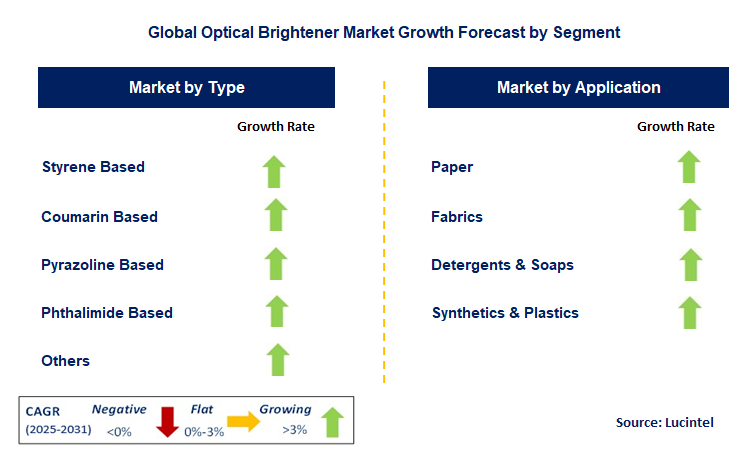 Optical Brightener Market by Segment