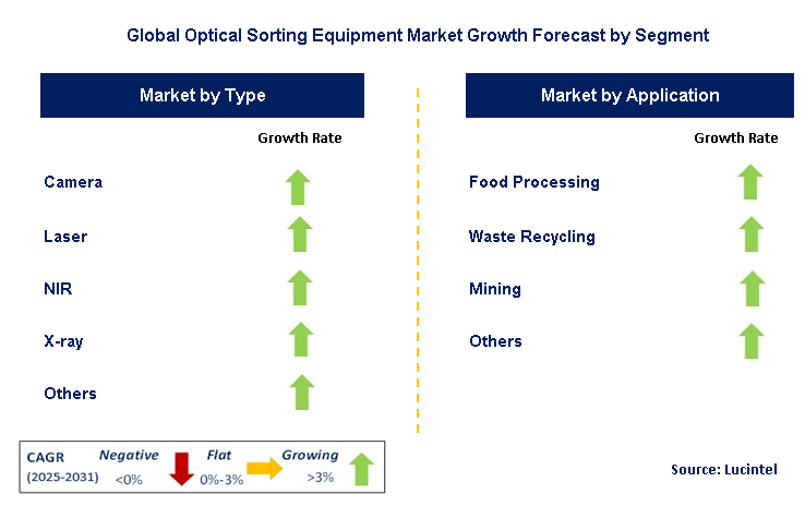 Optical Sorting Equipment Market by Segment