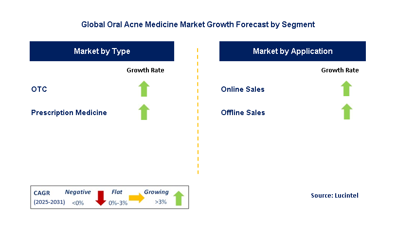 Oral Acne Medicine Market by Segment