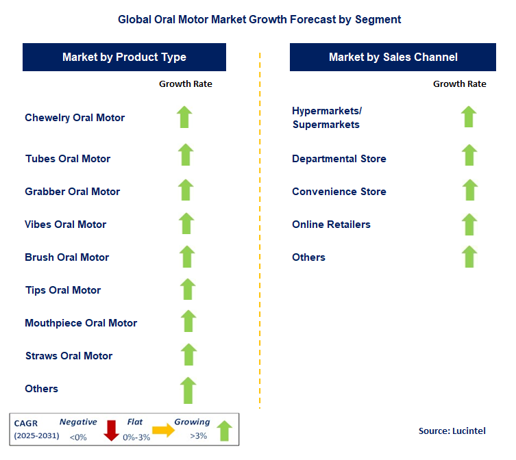 Oral Motor Market by Segment