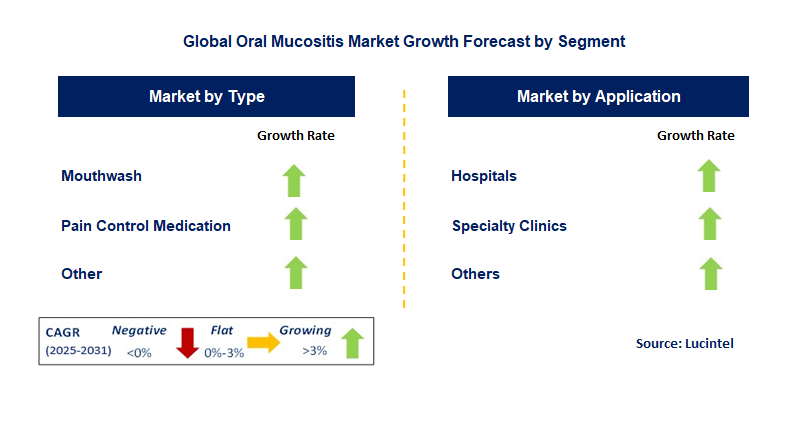 Oral Mucositis Market by Segment