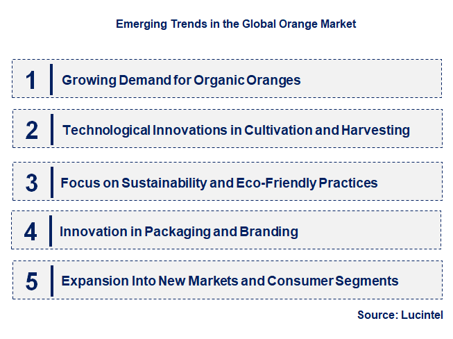 Emerging Trends in the Orange Market
