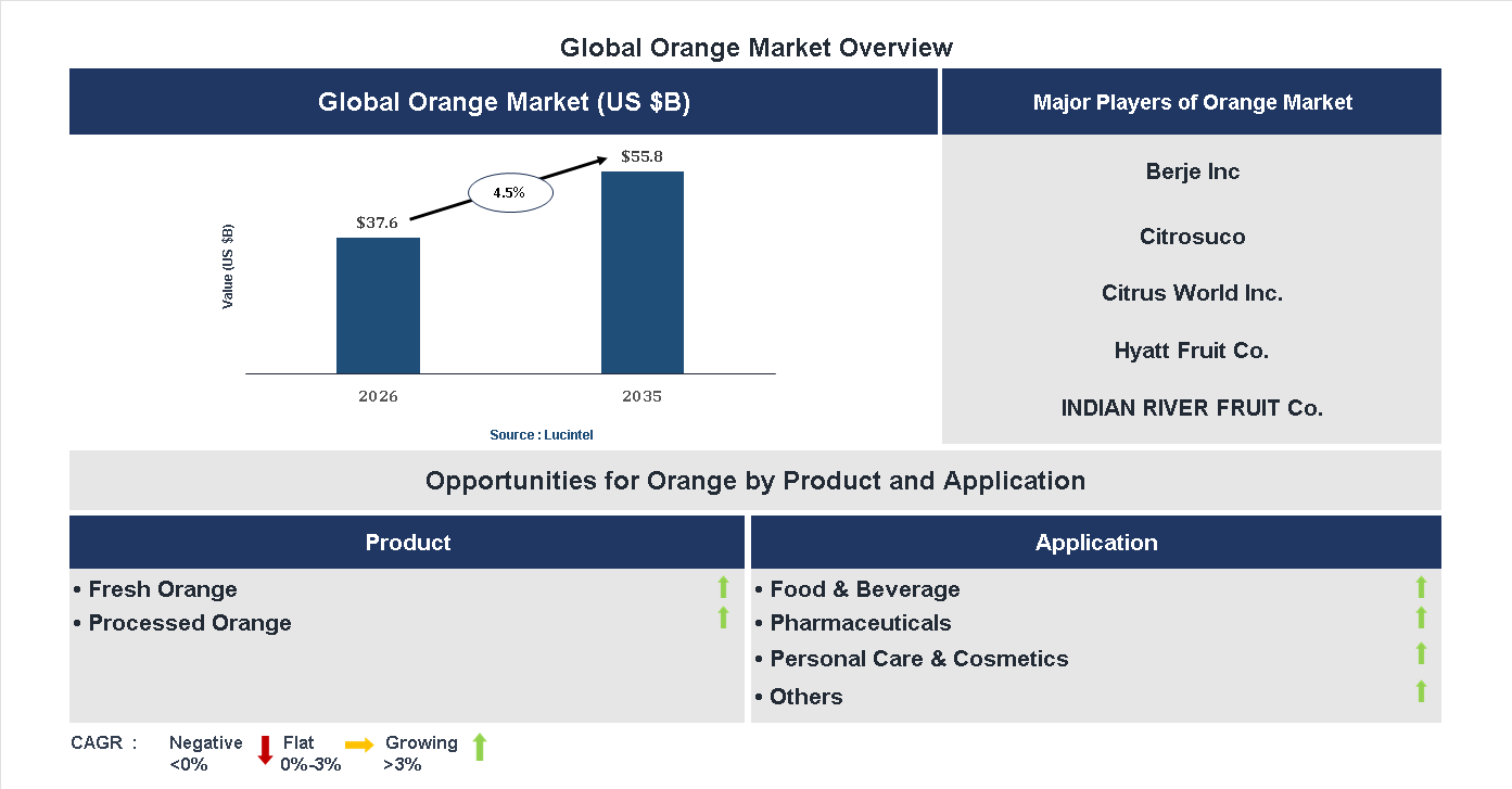 Orange Market Trends and Forecast