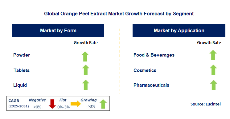 Orange Peel Extract Market by Segment