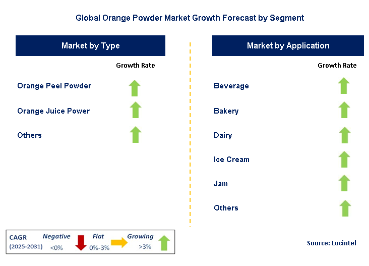 Orange Powder Market by Segment